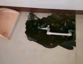 定南卫生间测漏水多少钱